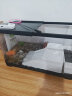 阔庭乌龟缸桌面透明生态乌龟缸乌客厅水族箱黑色 晒单实拍图