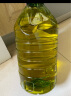 历农纯正橄榄油3L 低健身脂减餐食用油含特级初榨橄榄油炒菜耐高温 实拍图