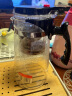 富光 耐热玻璃过滤茶壶茶具1000ML按压式飘逸杯大容量茶水分离凉水壶 晒单实拍图