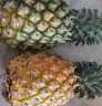 京鲜生 香水菠萝 净重3.5-4斤 单果750g+ 2粒 源头直发 实拍图