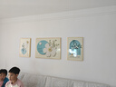 猫九酱奶油风客厅装饰画简约现代小清新花卉三联画高级感沙发背景墙挂画 实拍图