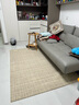赛波斯大宅标配耐脏宝藏羊毛客厅地毯极简轻奢高级感卧室茶几毯青山美宿 大宅标配（素色米驼） 140cm*200cm （适合1.8~2米沙发） 实拍图