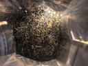 正山桐木金骏眉茶叶高山蜜香浓香型特级正宗桐木关红茶礼盒一斤装 蜜香500g 实拍图