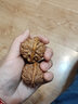 老农哥文玩核桃麻核桃手把件老款手玩古玩盘玩核桃文玩精品配对手玩核桃 【入门级】42-45mm麒麟官帽一对 实拍图