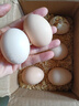 大码鸡蛋50g正负5g/枚散养土鸡蛋新鲜鸡蛋溏心蛋早餐必备京东包邮 6枚土鸡蛋50g 实拍图