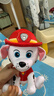 汪汪队立大功（PAW PATROL）毛绒玩具狗狗陪睡玩偶经典款毛毛中号坐姿可爱公仔男女孩生日礼物 实拍图