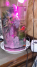 异景园鱼缸仿真假山造景装饰石头布景套餐水族箱大小树脂摆件躲避洞松石 TJ9-天柱峰 实拍图