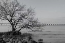 腾龙（Tamron）A063 28-75mm F/2.8 G2风光人像视频直播 腾龙28-75二代 全画幅微单相机镜头 28 75 索尼FE卡口 套餐四【送腾龙UV滤镜大礼包+享24期白条免息】 实拍图