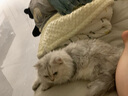 大宠爱【可查防伪】大宠爱体外成猫幼猫体内外驱虫剂去除耳螨跳蚤驱虫药 大宠爱成猫 3支*1盒 ＋海乐妙成猫3粒 实拍图