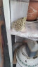 寸金（INCH-GOLD） 经典龟龟粮量贩装（中大龟）500g×3袋/盒 乌龟 巴西龟饲料 水龟、半水龟粮 大颗粒上浮型 实拍图