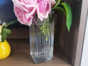 墨斗鱼玻璃花瓶北欧简约玫瑰百合客厅茶几家居餐厅装饰花器条纹方缸8488 实拍图