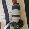 佳能（Canon）RF100-500mm F4.5-7.1 L IS USM 远摄变焦镜头 微单镜头（全画幅EOS R系统专用） 实拍图