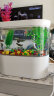 智汇 鱼缸水族箱客厅小型迷你桌面创意造景智能免换水生态玻璃金鱼缸 桌面鱼缸 低配（循环底滤+无极光+一键喂食） 实拍图