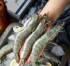 首鲜道大虾 虾 新鲜盐田大虾盐冻4斤青虾大明虾生鲜白虾 30-40规格16-18厘米 3斤(净重) 实拍图