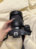 佳能（Canon）EOS RP 全画幅微单数码相机 24-105标准镜头套装 （约2620万像素/轻巧便携） 实拍图
