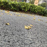 艾薇沙发垫坐垫雪尼尔沙发巾盖布四季防滑沙发套罩飘窗垫90*180绅士灰 实拍图