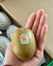 佳沛（zespri）新西兰阳光金奇异果12粒礼盒特大果单果约124-146g水果猕猴桃 实拍图