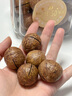 三只松鼠【大满坚果】夏威夷果508g/罐 坚果炒货原味大颗粒干果零食小吃 实拍图