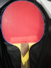 大维（DAWEI） 长胶王388D-2乒乓球拍胶皮彩色乒乓球长胶套胶颗粒胶进攻型 388D-2 单胶皮_红色 单片装 实拍图