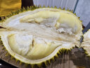 京鲜生 泰国进口金枕头榴莲 2-2.5kg 1个装 新鲜水果 实拍图