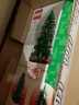乐高（LEGO） 创意Ideas典藏瓶中船经典怀旧玩具粉丝收藏圣诞节礼物 40573 创意圣诞树 实拍图