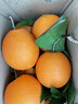 趣觅鲜奉节脐橙重庆纽荷尔脐橙子新鲜水果甜鲜福本橙子礼盒装 9斤装小果26-30个 实拍图