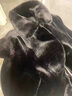 恒源祥貂皮外套男翻领整貂皮衣冬季连帽青年雕衣仿水貂毛皮草金貂绒大衣 黑色【翻】 XL【建议100-120斤】 实拍图