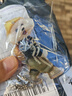 创意小泰迪背包亚克力平面挂件车载挂饰包包钥匙扣ins风送闺蜜 泰迪熊【黄色款】 1个装 实拍图