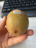 佳沛（zespri）新西兰阳光金奇异果10粒礼盒巨大果单果约146-175g水果猕猴桃 实拍图