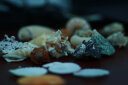 曦凰天然贝壳海螺壳海星珊瑚石儿童玩具装饰鱼缸造景DIY卷贝鱼寄居蟹 套餐四:斤大海螺贝壳 实拍图