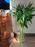 奇敬 玻璃花瓶富贵竹龟背竹水培插花瓶花艺摆件落地大花瓶餐桌花瓶 【口径17x高30cm】厚度均匀 高硼硅玻璃 实拍图