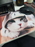 冰雷 鼠标垫 可爱女生卡通动漫加厚个性鼠标垫 创意鼠标垫 笔记本台式电脑办公游戏鼠标垫  可爱小猫(260*210*3MM) 实拍图