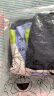 芝麻街童装儿童外套男女童2024年秋季新款时尚拼色风衣外套儿童节礼物 红色 150cm 晒单实拍图