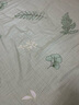 百丽丝水星家纺出品全棉床笠纯棉床单床笠罩单件全包床笠床垫保护套 实拍图