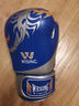 九日山 成人男子散打拳套 普及训练拳击泰拳手套 搏击训练打靶健身拳套 成人-蝎子款黑色 实拍图