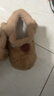 chikoku可爱小狗棉鞋女秋冬季居家防滑棉拖鞋包跟保暖情侣毛绒棉靴男 实拍图