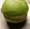 优蔬坊泰国青皮蜜柚高端进口当季新鲜孕妇水果纯甜多汁翡翠蜂蜜柚子整箱 5A商超果王 4颗（单果2-3斤） 晒单实拍图