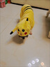阿莫尔网红猫咪衣服秋冬季搞怪狗狗衣服可爱搞笑小型猫犬四脚衣连帽泰迪 皮卡丘变身装 L(建议8-10斤具体参考胸围背长) 实拍图
