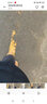 添柏岚（Timberland）官方踢不烂女款经典大黄靴防水|10361 10361W/小麦色 宽版 推荐大半码 39.5 推荐大半码 实拍图