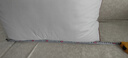 恒源祥纯棉抱枕芯 万能方形沙发靠垫内胆 45 50 55枕头芯酒店单只一对装 一对装-立体边 65cm*65cm 含枕芯 实拍图