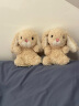 Jellycat 甜美小兔 小短腿可爱公仔毛绒玩具小玩偶生日礼物 甜美小兔 H15 X W9 CM 实拍图