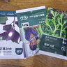 寿禾501水萝卜种子种苗夏秋红皮罗卜蔬菜种籽 501水萝卜种子10g/袋*3 实拍图