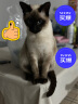 皇家猫粮 幼猫猫粮 幼猫奶糕 K36 通用粮 4-12月 2KG 实拍图