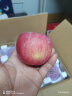 堡鲜生陕西洛川红富士苹果脆甜多汁时令新鲜孕妇水果生鲜苹果整箱 75-80mm带箱10斤（净重8.8斤） 实拍图