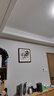 紫腾随轩齐白石装饰画新中式客厅背景墙面挂画卧室饭厅餐厅水墨虾壁画 苹果 50*50cm红木色实木框 实拍图