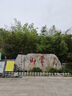 潜水艇（Submarine）xsw-7 洗衣机地漏接头 排水管三通接口 三通弯头 实拍图