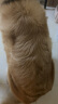 台派狗粮40斤金毛拉布拉多泰迪博美成犬幼犬小型犬中大型犬全期粮20kg 实拍图