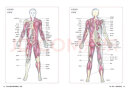 肌肉力量训练解剖图谱（新版） 实拍图