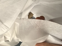 无印良品一次性床上用品四件套床单加厚酒店床上用品双人款-纯白 实拍图
