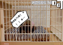 爱丽思 IRIS 狗笼猫笼宠物笼子中小型犬树脂 810 晒单实拍图